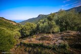 Frazione di Fiuminale a Velone Orneto, 12/08/2020