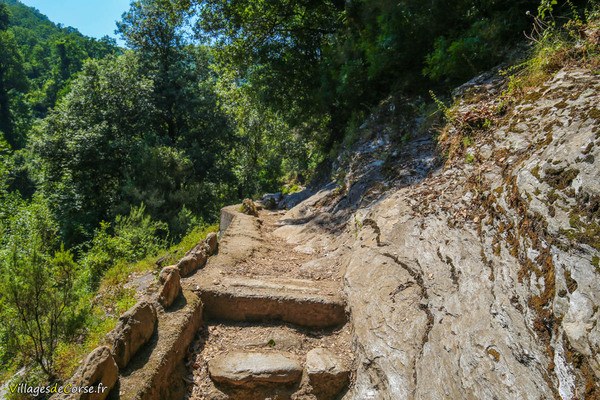 Fiuminale Velone Orneto Hiking Trail - 12/08/2020