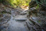 Velone Orneto Wanderweg - 12/08/2020