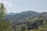 Dorf - Velone Orneto