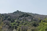 Dorf - Velone Orneto