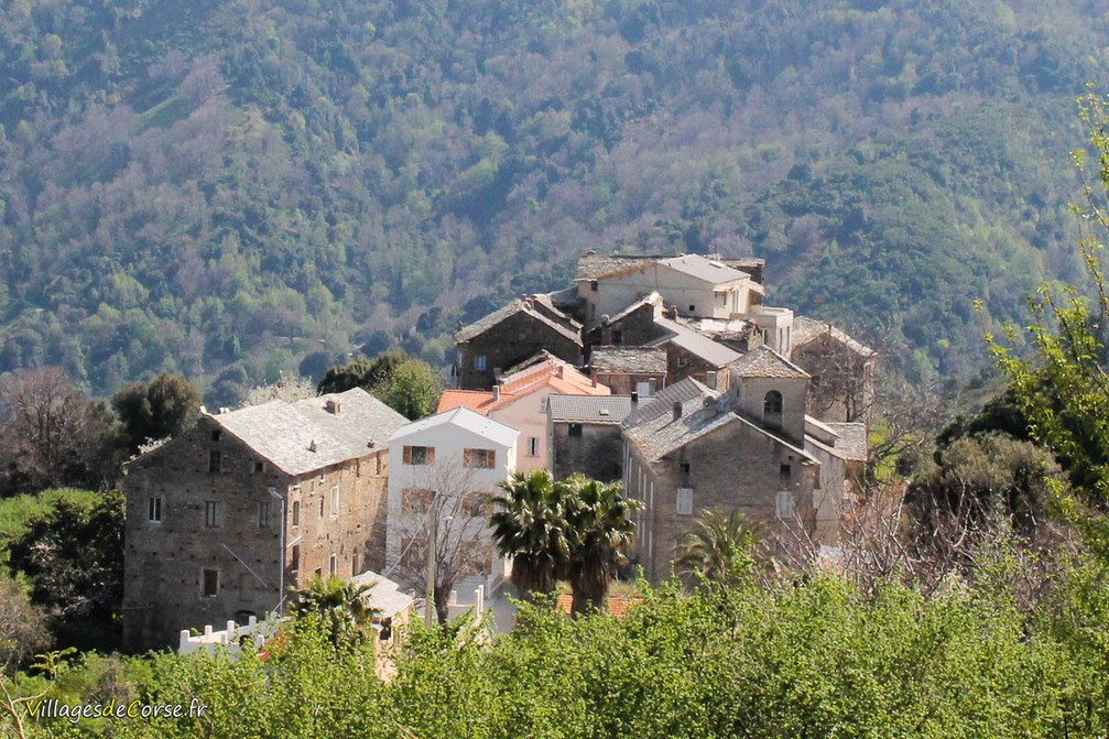 Village - Velone Orneto