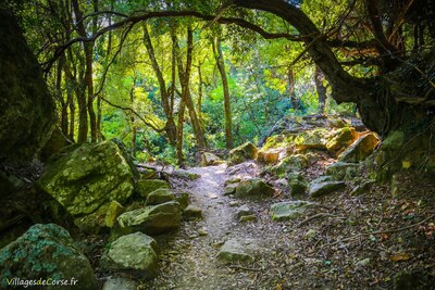 Wanderung Velone Orneto - 12/08/2020