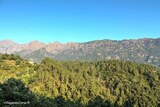 Mountain - Pastricciola