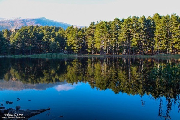 Lac - Creno - Orto