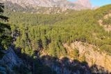 Montagne - Orto