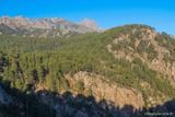 Montagne - Orto