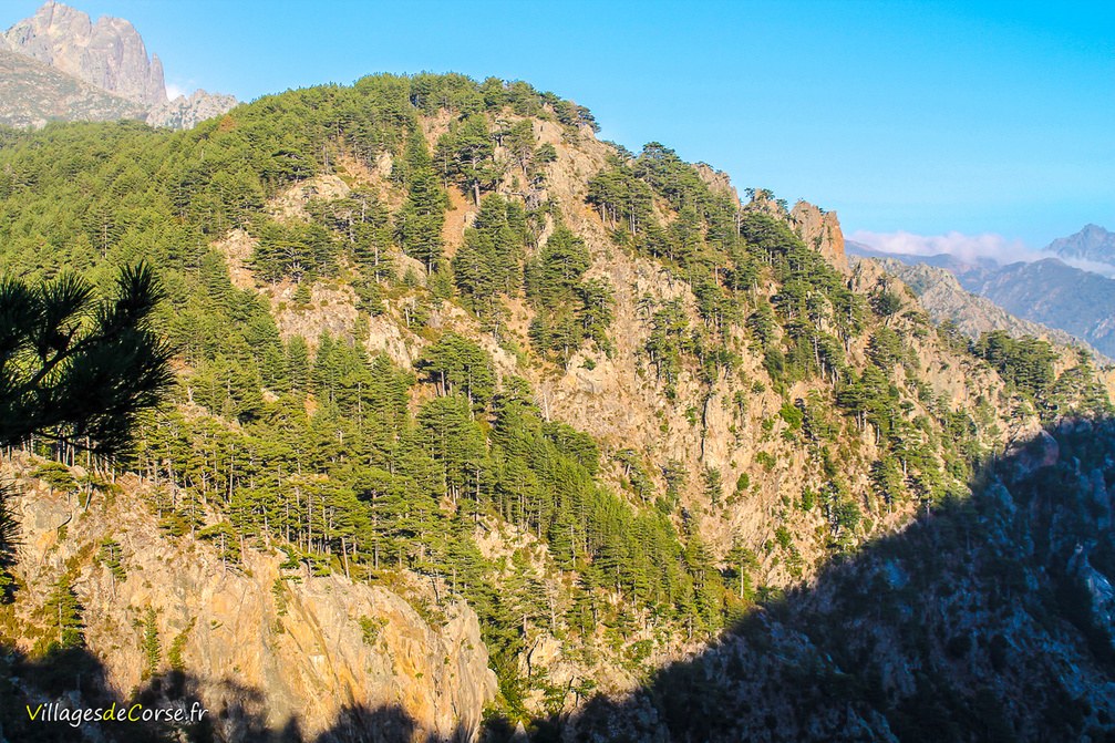 Montagne - Orto