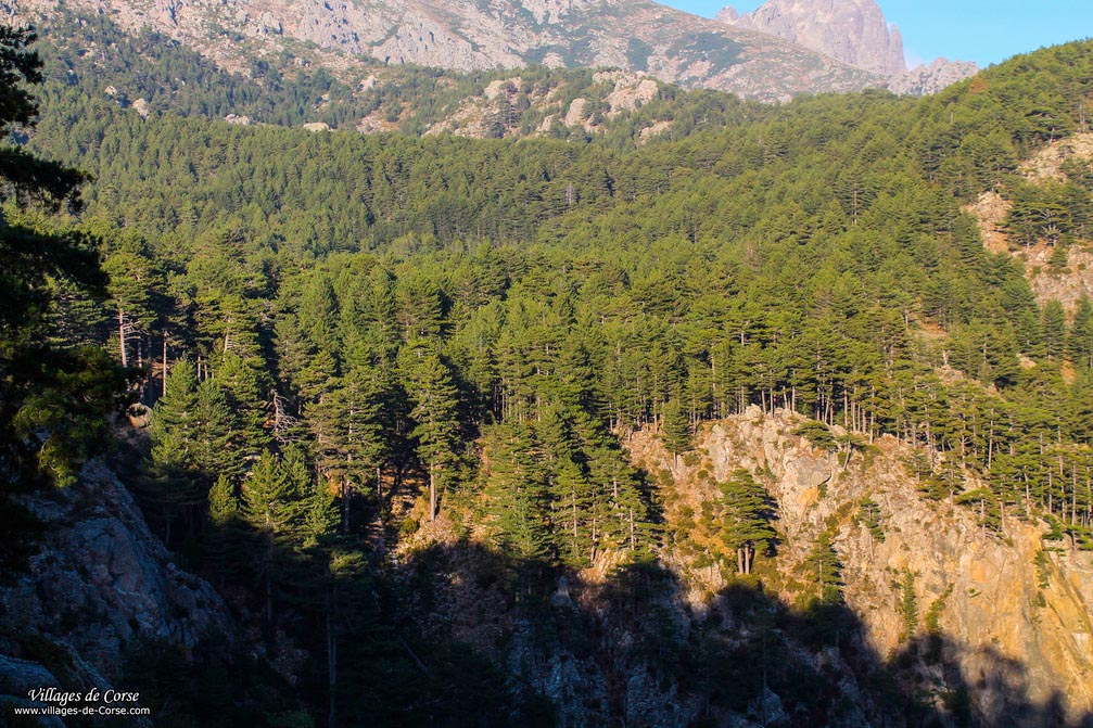 Montagne - Orto