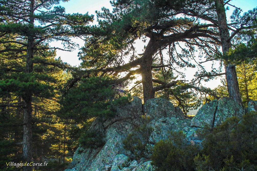 Montagne - Orto