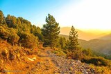 Mountain - Soccia