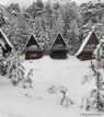 Station de ski - Station de Ski d'Asco - Asco