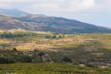 Mountain - Lento