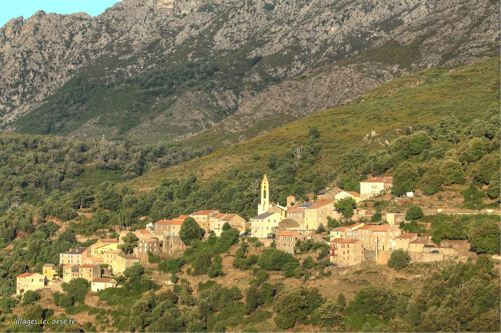 Village - Lento