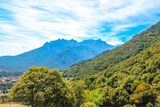 Montagne - Aiguilles de Popolasca - Moltifao