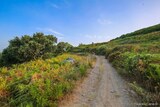 Sentier Randonnee Furiani - 11/08/2021