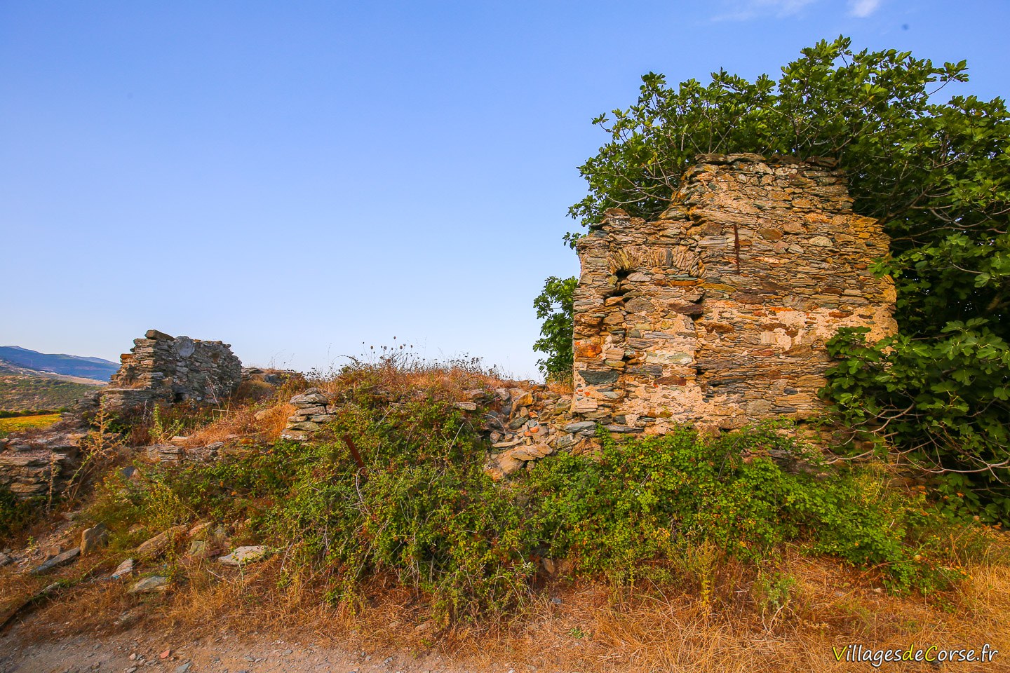 Ruine - Furiani