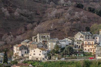 Marana
