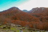 Bergeries Capiaghja in Bocognano am 25112012