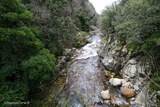 Rivière - Gravona - Bocognano
