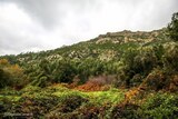 Montagne - Bucugnà