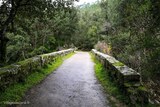 Pont - Pino - Bocognano