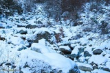 Rivière - Bucugnà