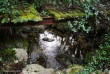 Ruisseau - Marchisana - Bocognano