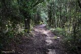 Sentier - Bucugnà