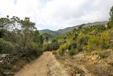 Sentier - Bucugnà