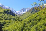 Vallée - Bucugnà