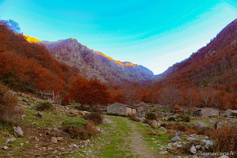 Bergeries Capiaghja in Bocognano am 25112012
