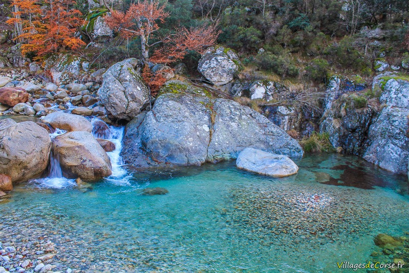 Rivière Gravona in Bocognano am 25112012