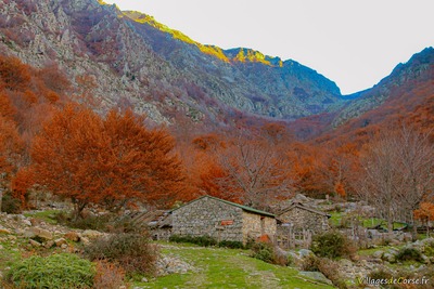 Bergeries Capiaghja in Bocognano am 25112012
