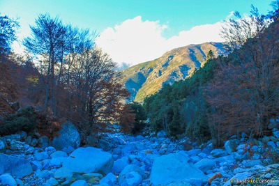 Rivière Gravona in Bocognano am 25112012