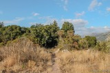 Sentier - Cuttoli Corticchiato