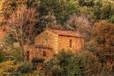 House - Peri