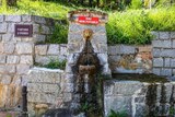 Fontaine - Le peuplier - Sarrola Carcopino