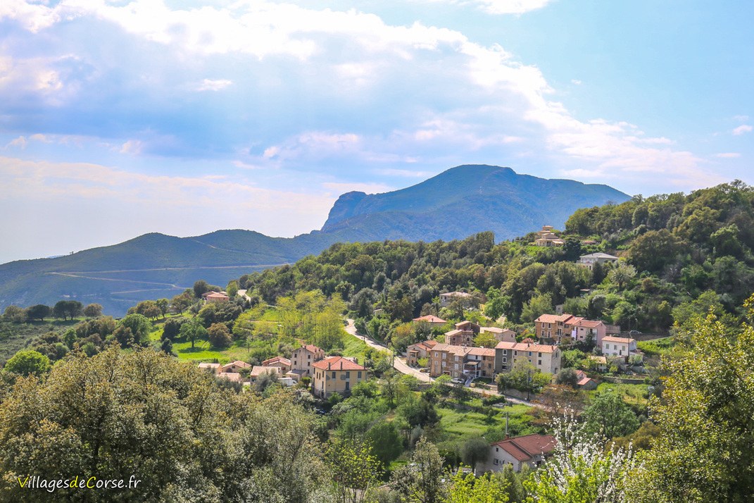 Dorf - Sarrola Carcopino