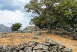 Ruine - Tavera