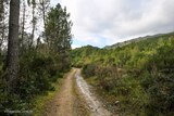 Sentier - Tavera