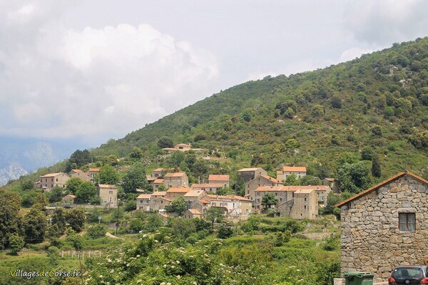 Village - Tavera