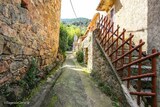 Ruelle - Valle di Mezzana