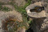 Brunnen - Vero