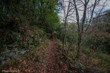 Sentier Murato - 30/12/2020