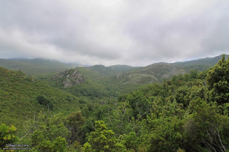 Mountain - 05/06/2012