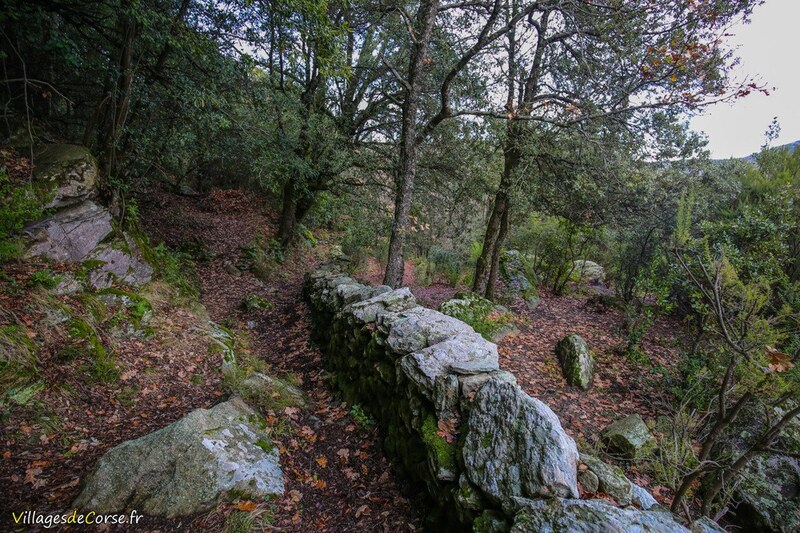 Sentier Randonnee Murato - 30/12/2020