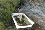 Source - Olmeta (di Tuda)