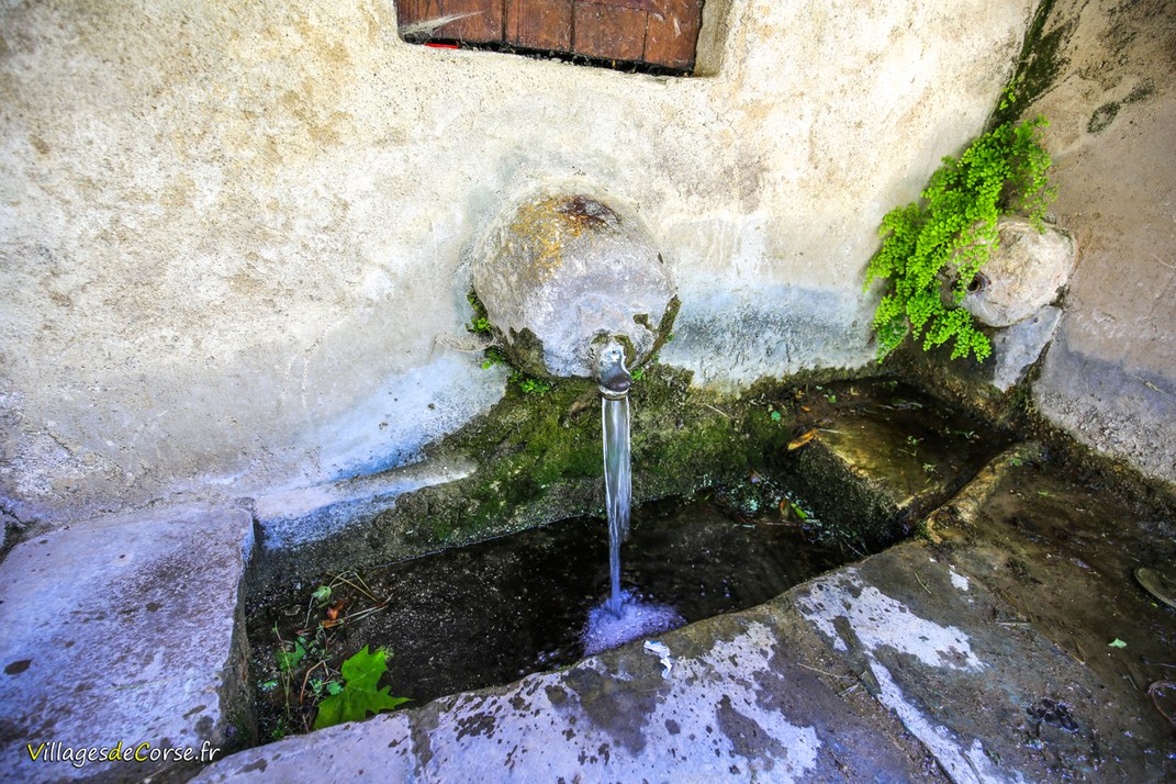 Fountain - Patrimonio