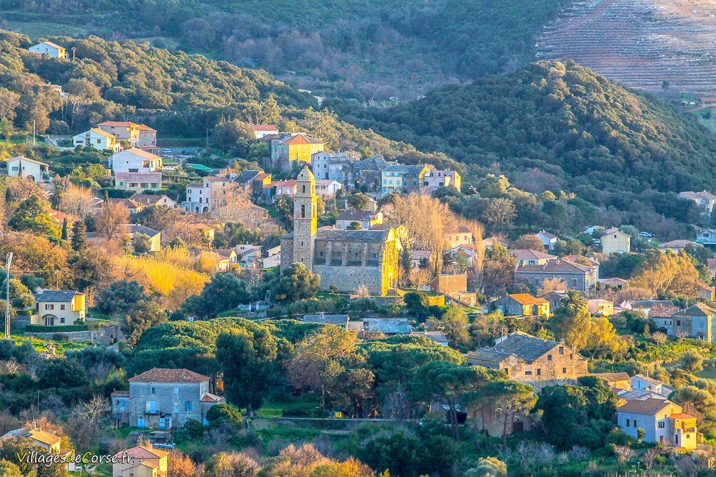 Patrimonio - Corse